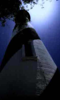 Augustine Deep Fishing on Favorite Florida Destination St Augustine Now Gone To The Birds