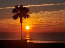 Galveston Beach Palm Tree Sunset