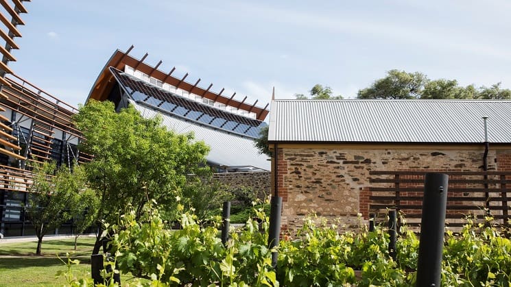 National-Wine-Centre-of-Australia