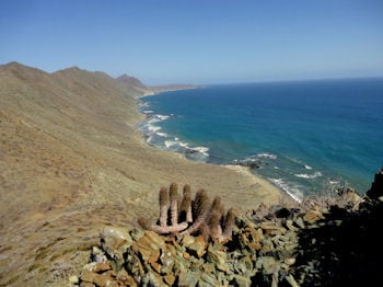 Baja Magdalena Island