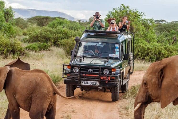 Kenya Safari: African Paradise Vacation