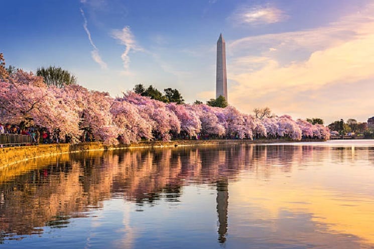 Washington DC: Nation's Capital for Seniors