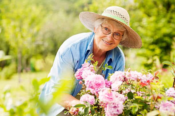 senior gardening