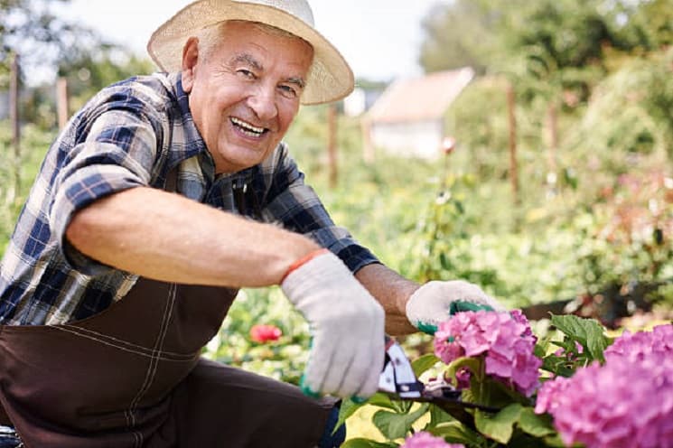 Best gardening tools for seniors deals